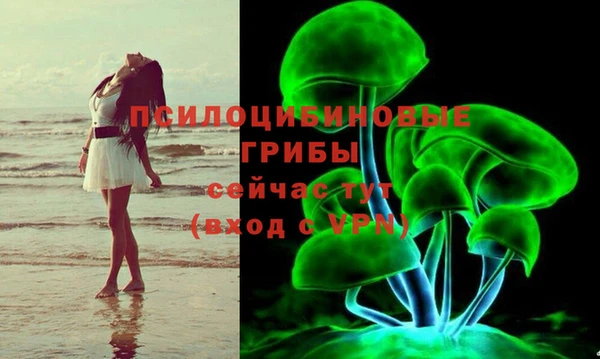 крисы Алексеевка