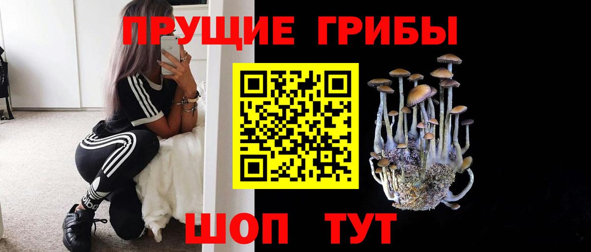 Галлюциногенные грибы Magic Shrooms Димитровград