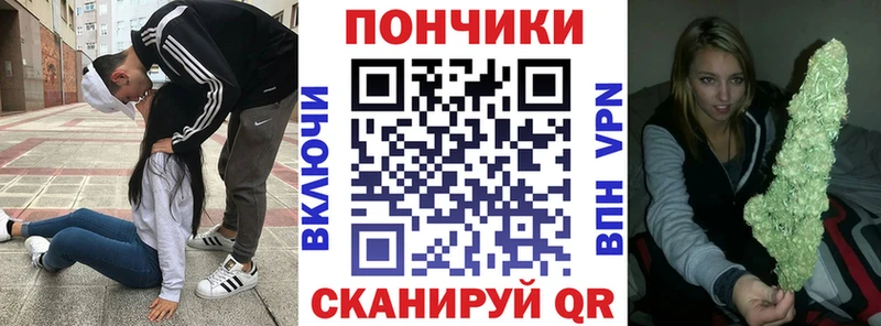Бошки Шишки THC 21%  купить наркотики цена  Димитровград 